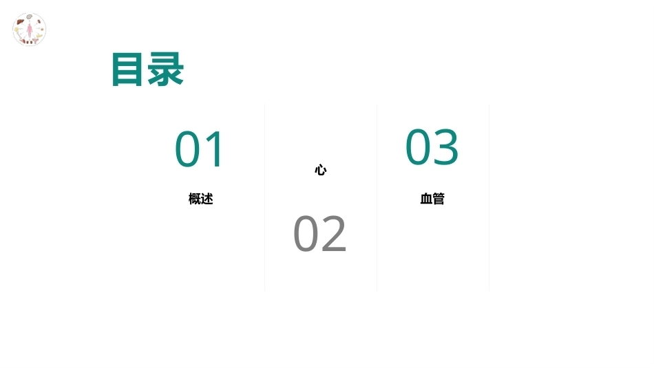 美容应用解剖（第2版）：脉管系统与美容操作安全PPT教学课件.pptx_第2页