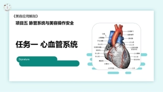 美容应用解剖（第2版）：脉管系统与美容操作安全PPT教学课件.pptx