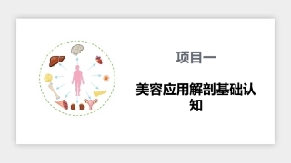美容应用解剖（第2版）：美容应用解剖基础认知PPT教学课件.pptx