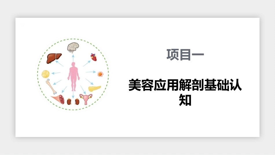美容应用解剖（第2版）：美容应用解剖基础认知PPT教学课件.pptx_第1页