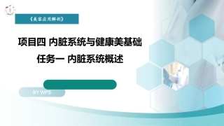 美容应用解剖（第2版）：内脏系统与健康美基础PPT教学课件.pptx
