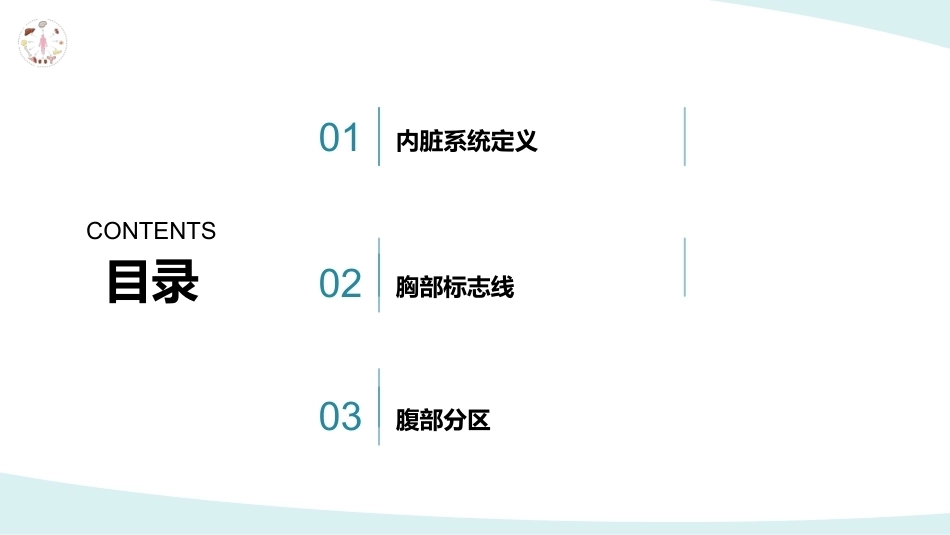 美容应用解剖（第2版）：内脏系统与健康美基础PPT教学课件.pptx_第2页