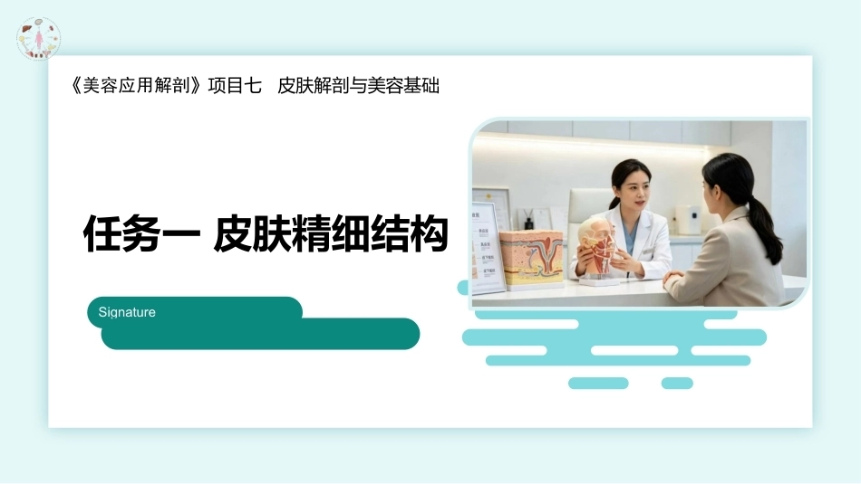 美容应用解剖（第2版）：皮肤解剖与美容基础PPT教学课件.pptx_第1页