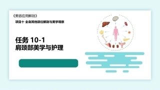 美容应用解剖（第2版）：全身其他部位解剖与美学观察PPT教学课件.pptx