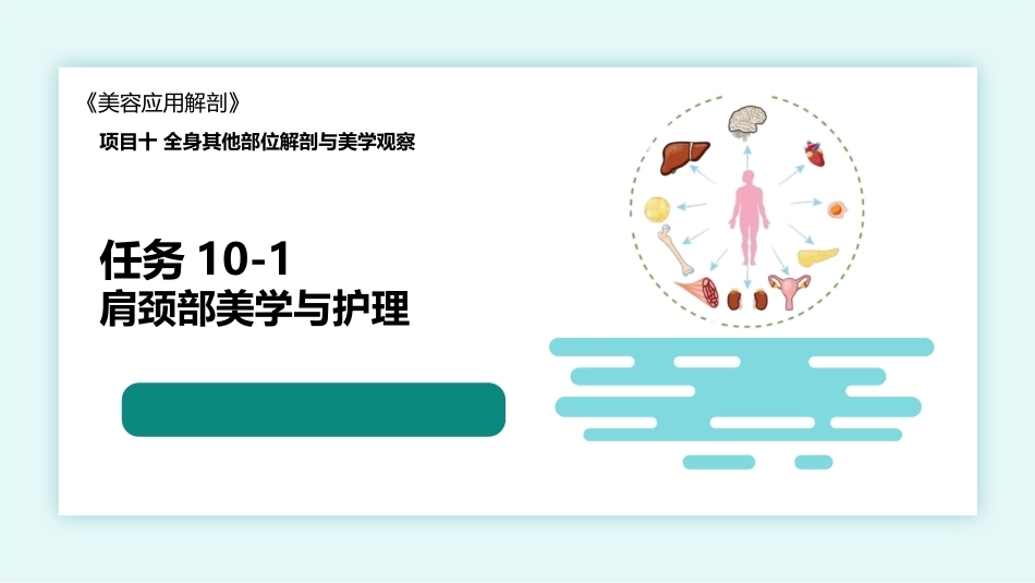 美容应用解剖（第2版）：全身其他部位解剖与美学观察PPT教学课件.pptx_第1页