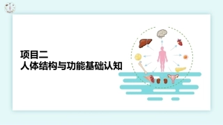 美容应用解剖（第2版）：人体结构与功能基础认知PPT教学课件.pptx