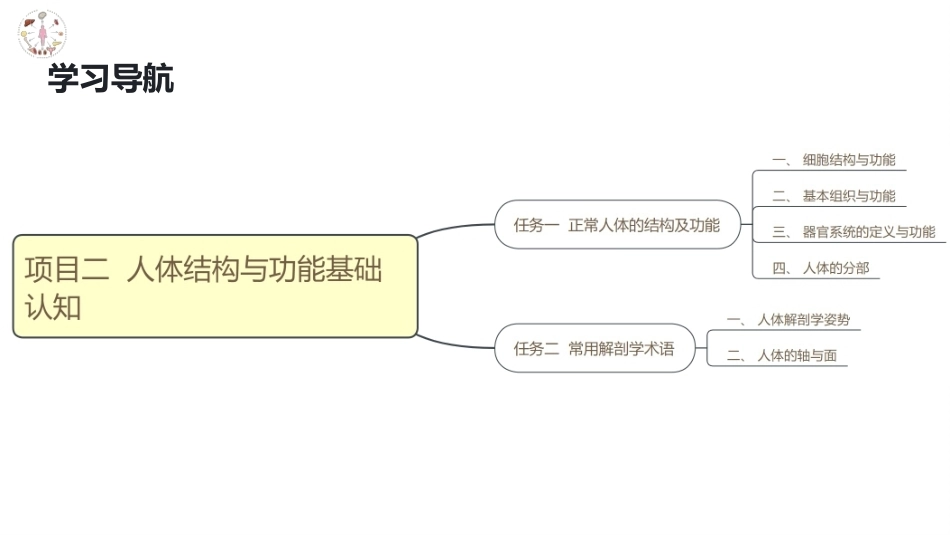 美容应用解剖（第2版）：人体结构与功能基础认知PPT教学课件.pptx_第2页