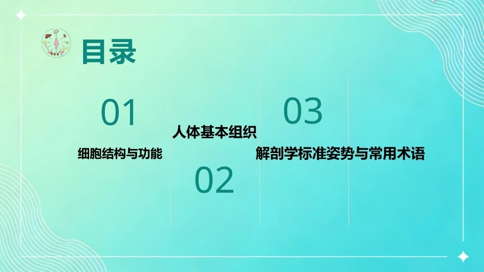美容应用解剖（第2版）：人体结构与功能基础认知PPT教学课件.pptx_第3页