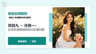 美容应用解剖（第2版）：乳房解剖与形态美学PPT教学课件.pptx