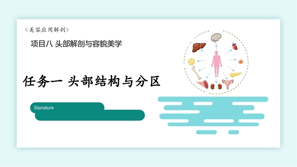 美容应用解剖（第2版）：头部解剖与容貌美学PPT教学课件.pptx_第1页