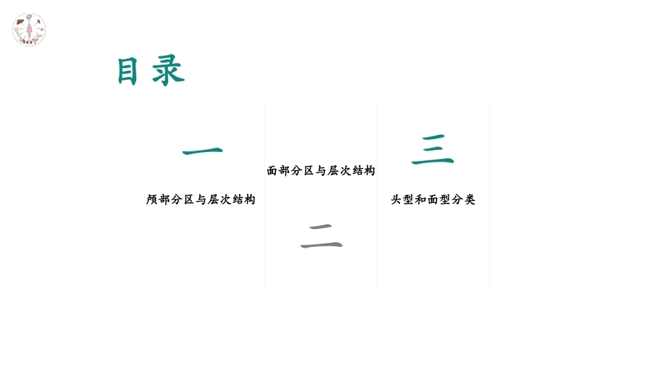 美容应用解剖（第2版）：头部解剖与容貌美学PPT教学课件.pptx_第3页