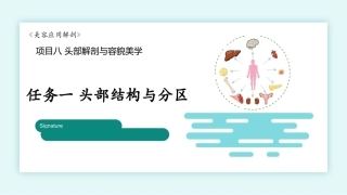 美容应用解剖（第2版）：头部解剖与容貌美学PPT教学课件.pptx