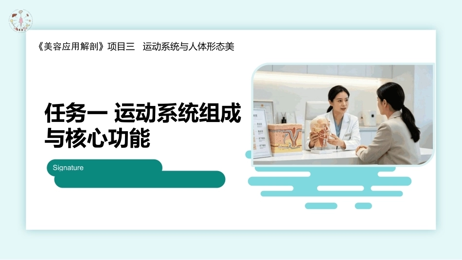 美容应用解剖（第2版）：运动系统与人体形态美PPT教学课件.pptx_第1页