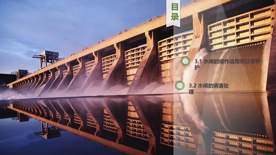 水利工程运行管理：水闸的安全监测与维护PPT教学课件.pptx_第2页