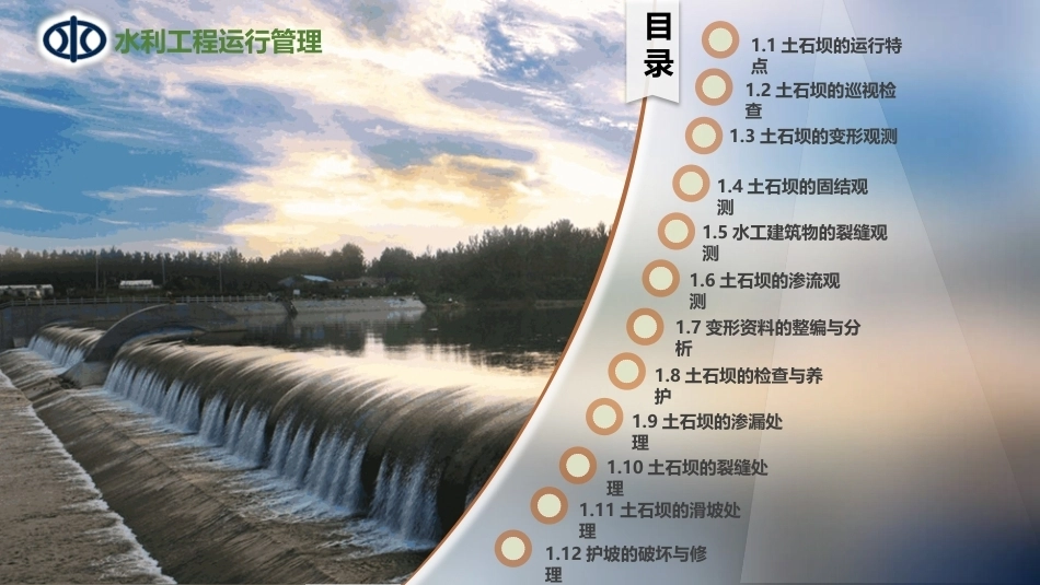 水利工程运行管理：土石坝的安全监测与维护PPT教学课件.pptx_第2页