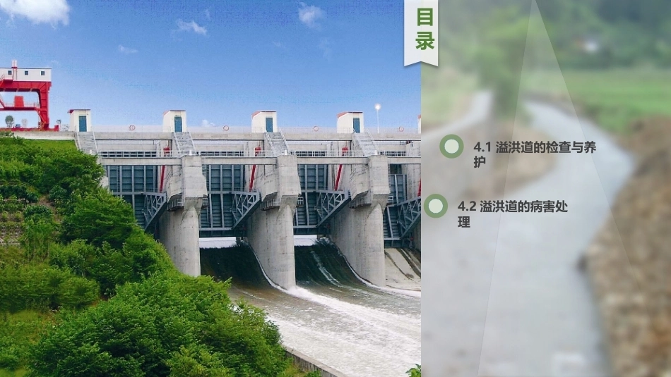 水利工程运行管理：溢洪道的安全监测与维护PPT教学课件.pptx_第2页