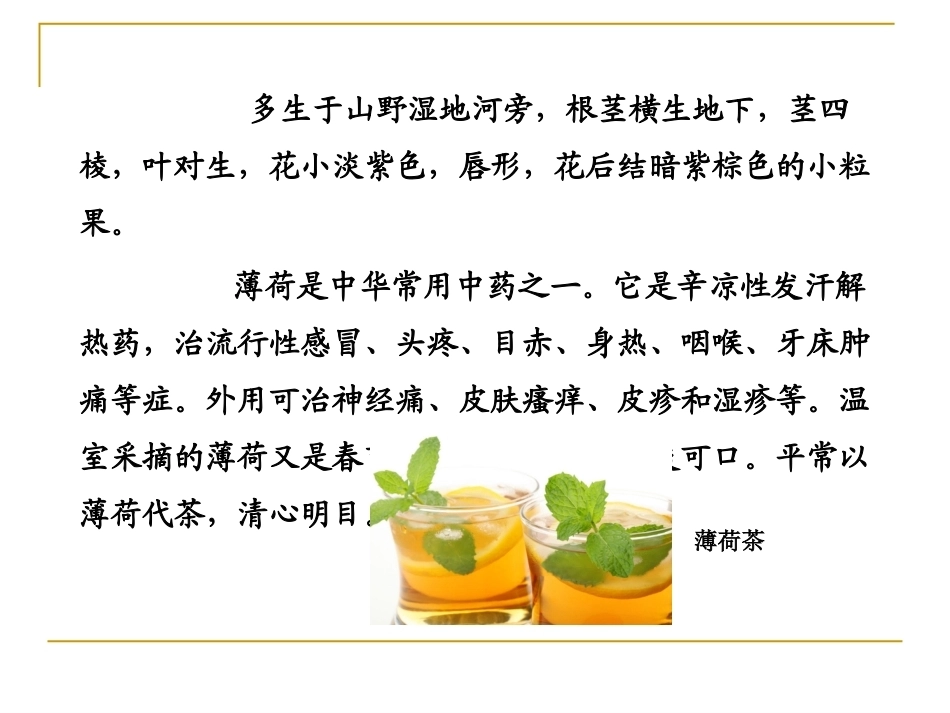 特种经济作物栽培技术微课版（第2版）：薄荷栽培技术PPT教学课件.pptx_第3页