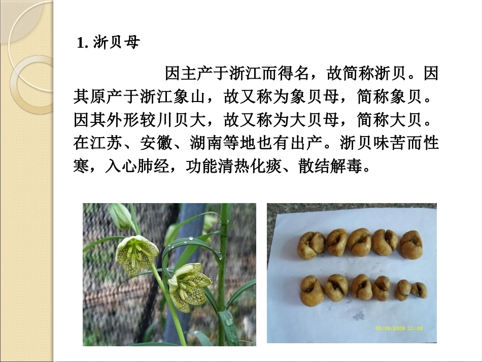 特种经济作物栽培技术微课版（第2版）：川贝母栽培技术PPT教学课件.pptx_第3页