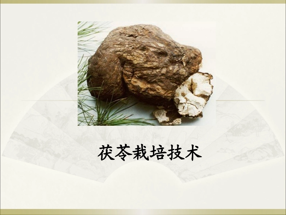 特种经济作物栽培技术微课版（第2版）：茯苓栽培技术PPT教学课件.pptx_第1页