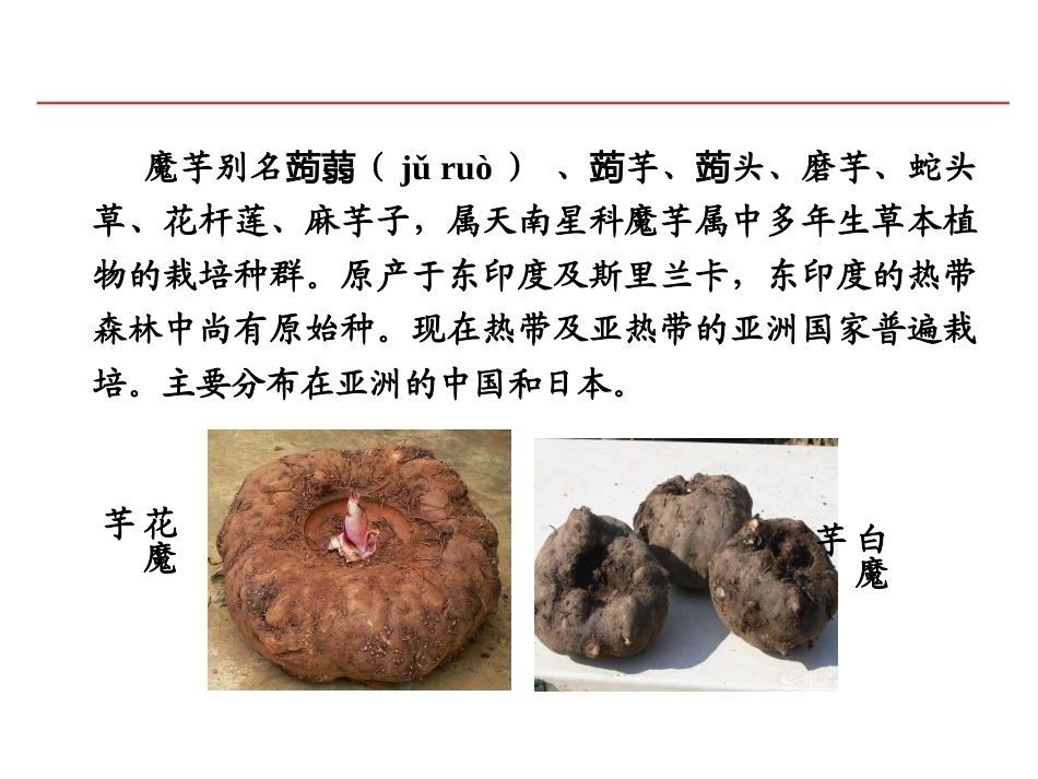 特种经济作物栽培技术微课版（第2版）：魔芋栽培技术PPT教学课件.ppt_第2页