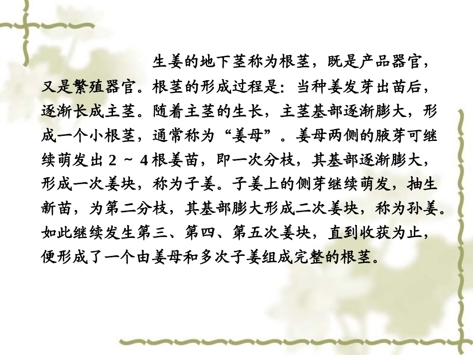 特种经济作物栽培技术微课版（第2版）：生姜栽培技术PPT教学课件.ppt_第3页