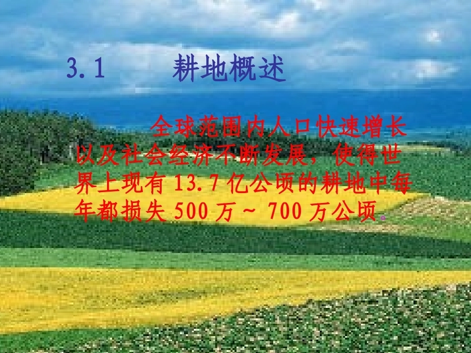 土地政策：第3章耕地政策.pptx_第2页