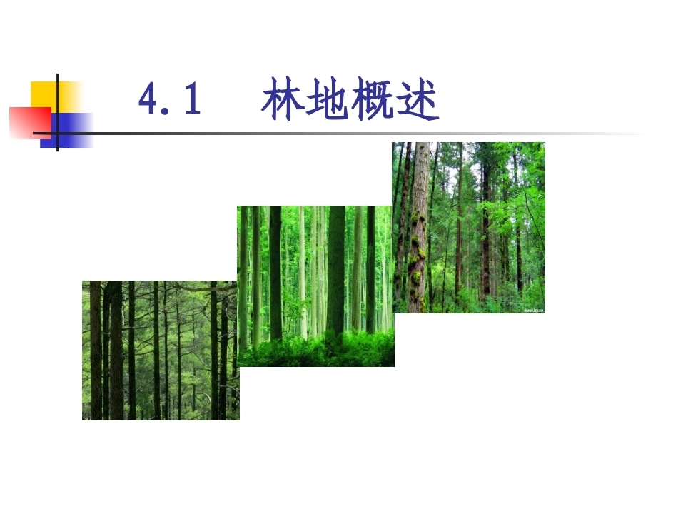 土地政策：第4章林地政策.pptx_第2页