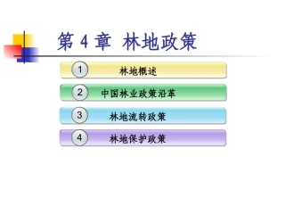土地政策：第4章林地政策.pptx