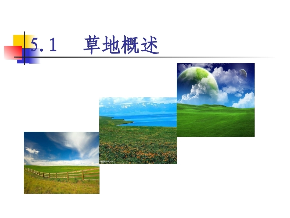 土地政策：第5章草地政策.pptx_第2页