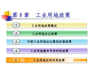 土地政策：第8章工业用地政策.pptx