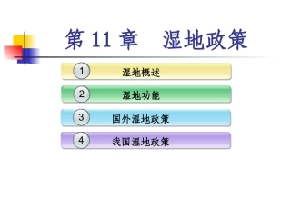 土地政策：第11章湿地政策.pptx