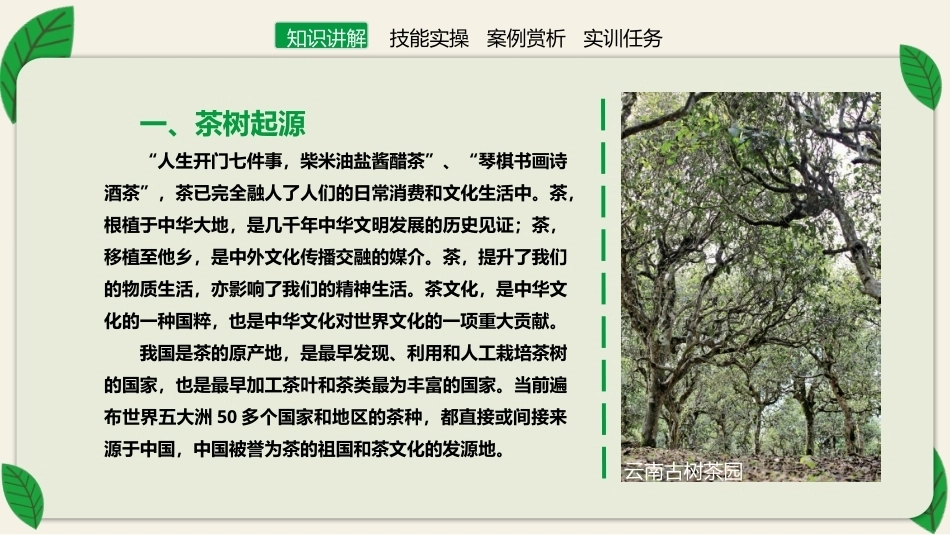 茶艺理论与实践：茶叶篇.pptx_第2页