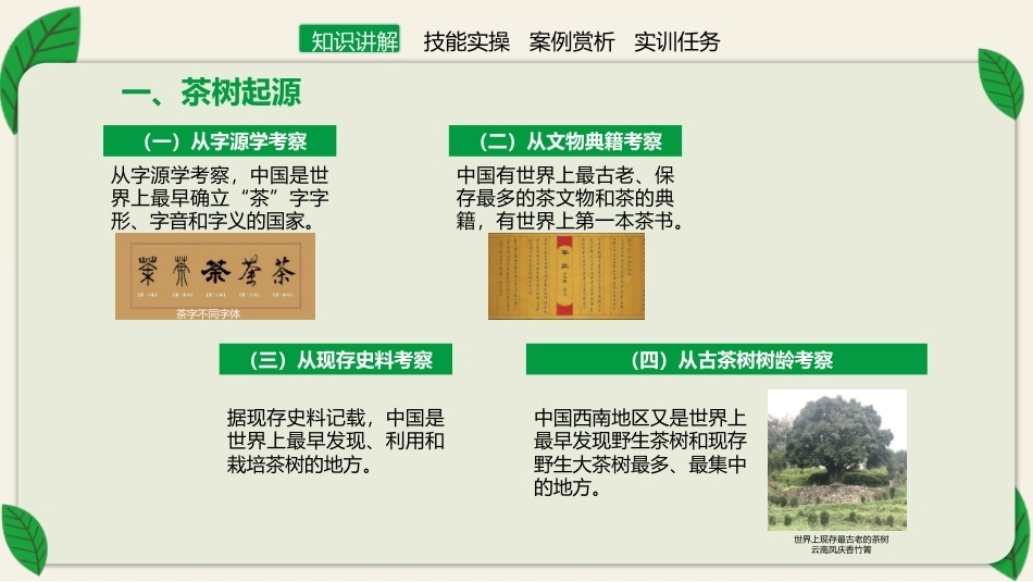 茶艺理论与实践：茶叶篇.pptx_第3页