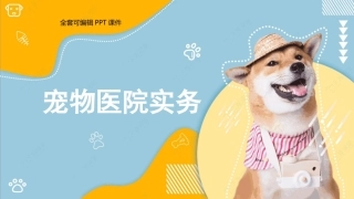 宠物医院实务：宠物医院的筹建PPT教学课件.pptx