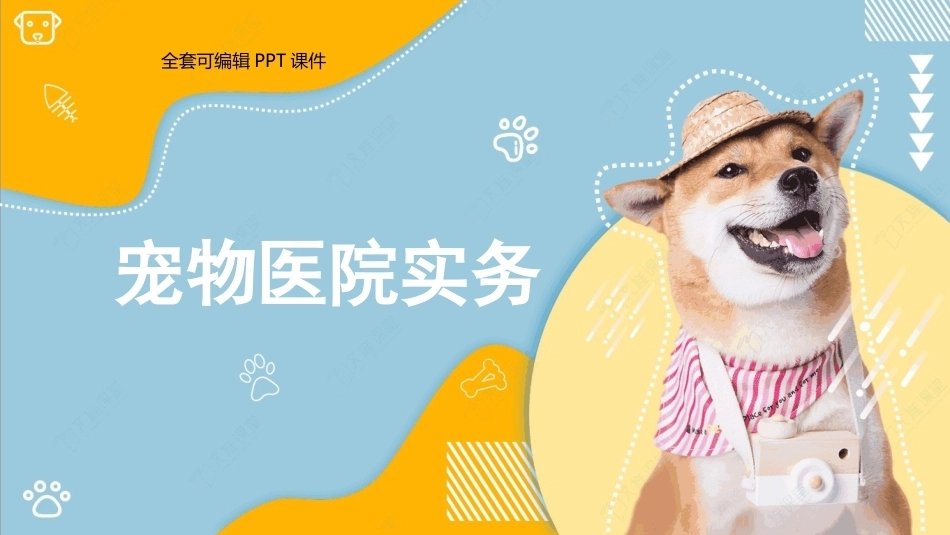 宠物医院实务：宠物医院的筹建PPT教学课件.pptx_第1页