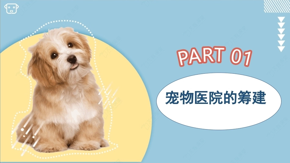 宠物医院实务：宠物医院的筹建PPT教学课件.pptx_第3页