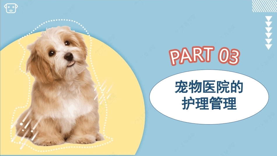 宠物医院实务：宠物医院的护理管理PPT教学课件.pptx_第3页