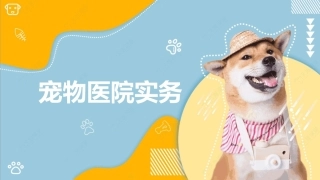 宠物医院实务：宠物医院的品牌建设与推广PPT教学课件.pptx