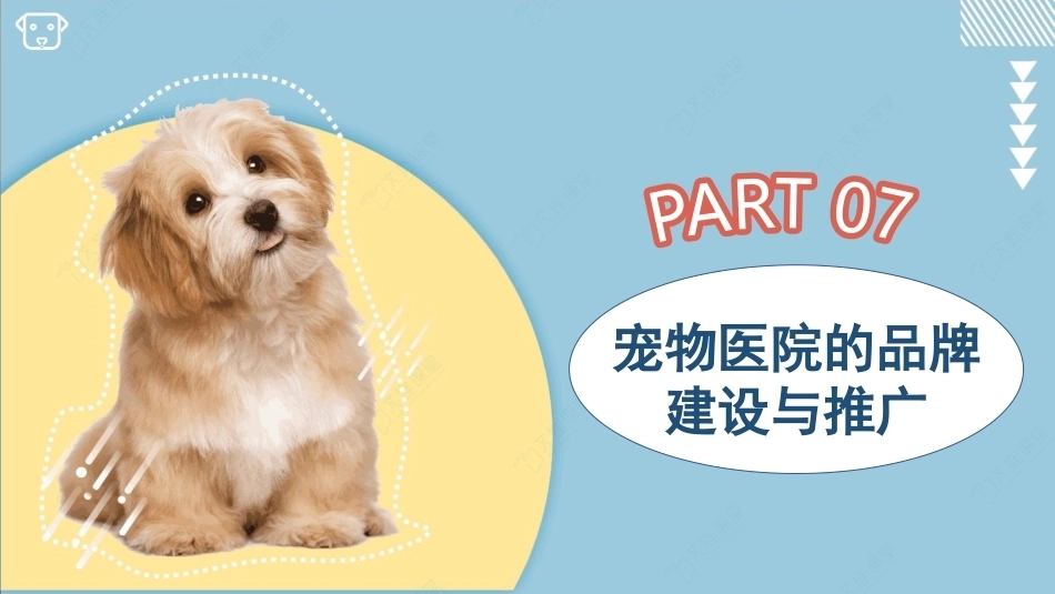 宠物医院实务：宠物医院的品牌建设与推广PPT教学课件.pptx_第3页