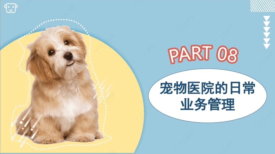 宠物医院实务：宠物医院的日常业务管理PPT教学课件.pptx_第3页