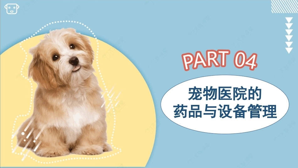 宠物医院实务：宠物医院的药品与设备管理PPT教学课件.pptx_第3页
