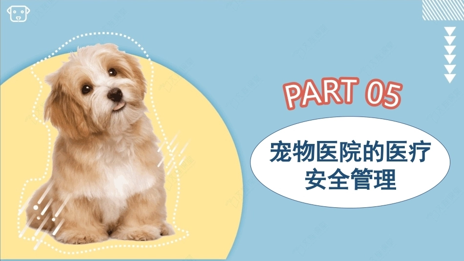 宠物医院实务：宠物医院的医疗安全管理PPT教学课件.pptx_第3页