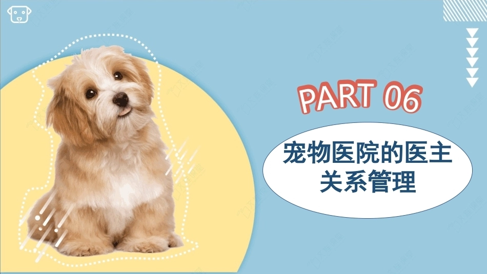 宠物医院实务：宠物医院的医主关系管理PPT教学课件.pptx_第3页