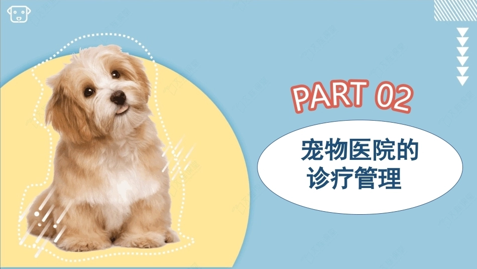 宠物医院实务：宠物医院的诊疗管理PPT教学课件.pptx_第3页