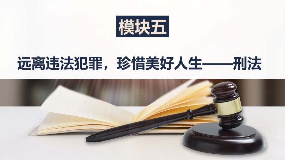法律常识：远离违法犯罪，珍惜美好人生——刑法PPT教学课件.pptx_第2页