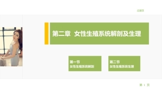 妇产科护理学：女性生殖系统解剖及生理PPT教学课件.pptx