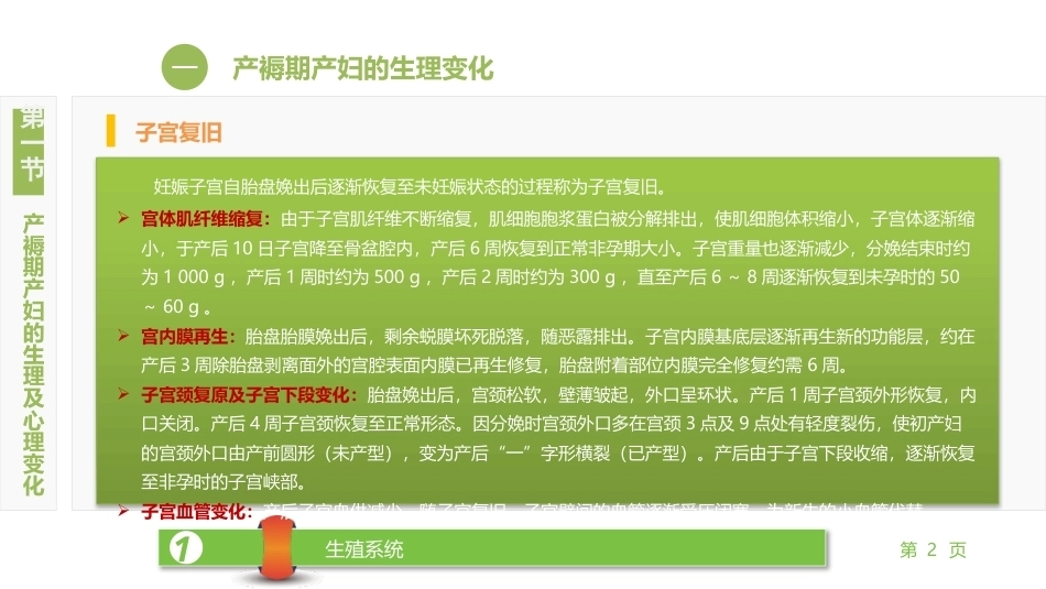 妇产科护理学：正常产褥期产妇的护理PPT教学课件.pptx_第2页