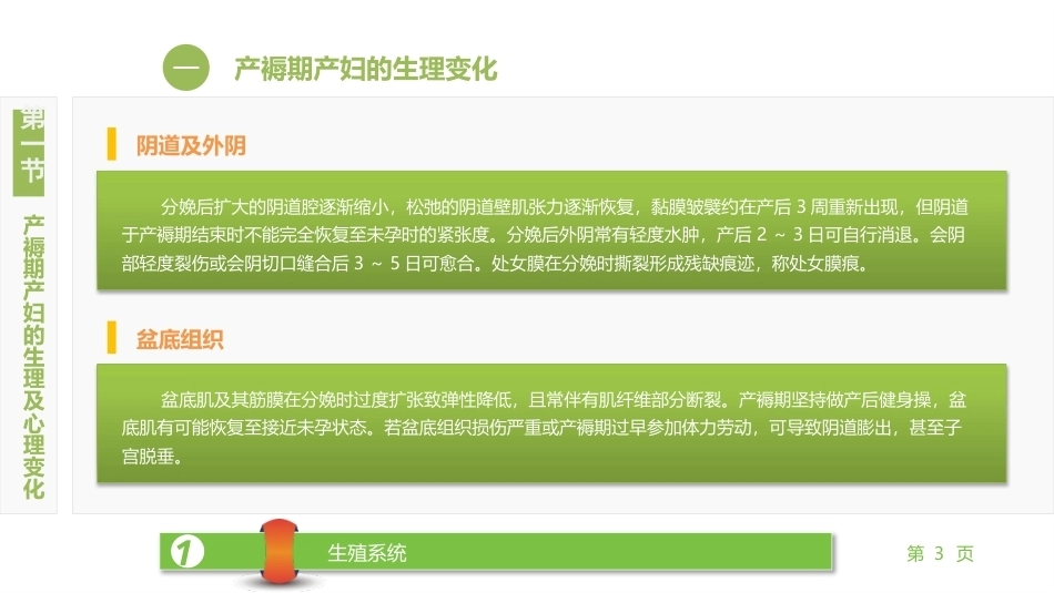 妇产科护理学：正常产褥期产妇的护理PPT教学课件.pptx_第3页