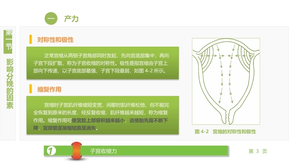 妇产科护理学：正常分娩期产妇的护理PPT教学课件.pptx_第3页