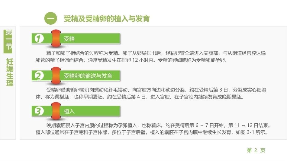 妇产科护理学：正常妊娠期孕妇的护理PPT教学课件.pptx_第2页
